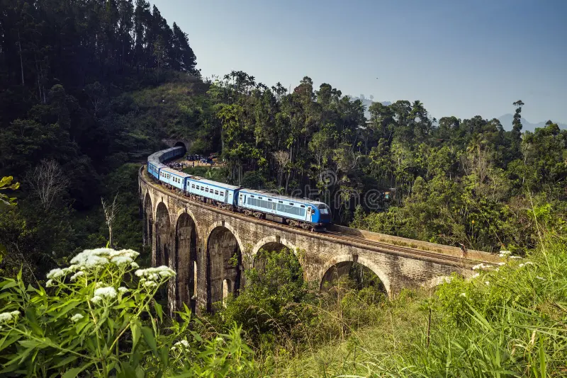 Sri Lankan blue train crossing bridge through lush green hills